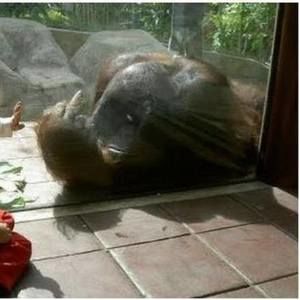 Meet your Posher, Tom